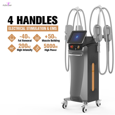 Perfectlaser EMS Sculpting Machine EMS Slim Slimming Hiemt  EMSNEO Weight Loss Beauty Equipment