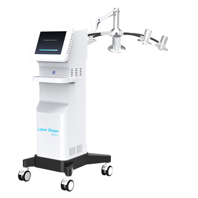 100hz 6d Lipolaser 532nm Fat Removal Cellulite Body Slimming Beauty Equipment