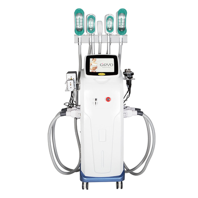 360 Cryolipolysis Slimming Machine Coolsculpting Weight Loss Body Contouring