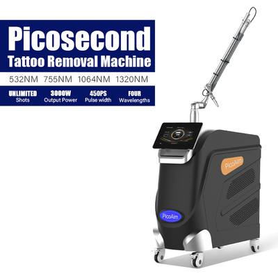 Oem Odm Laser Tattoo Eraser with 15.6 Inch Color Touchable Screen